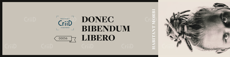 visu capa li news